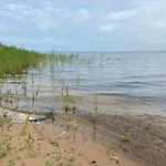 Idyllic Nature Retreat - By Traum Ulfborg