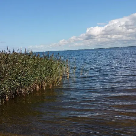Idyllic Nature Retreat - By Traum * Ulfborg